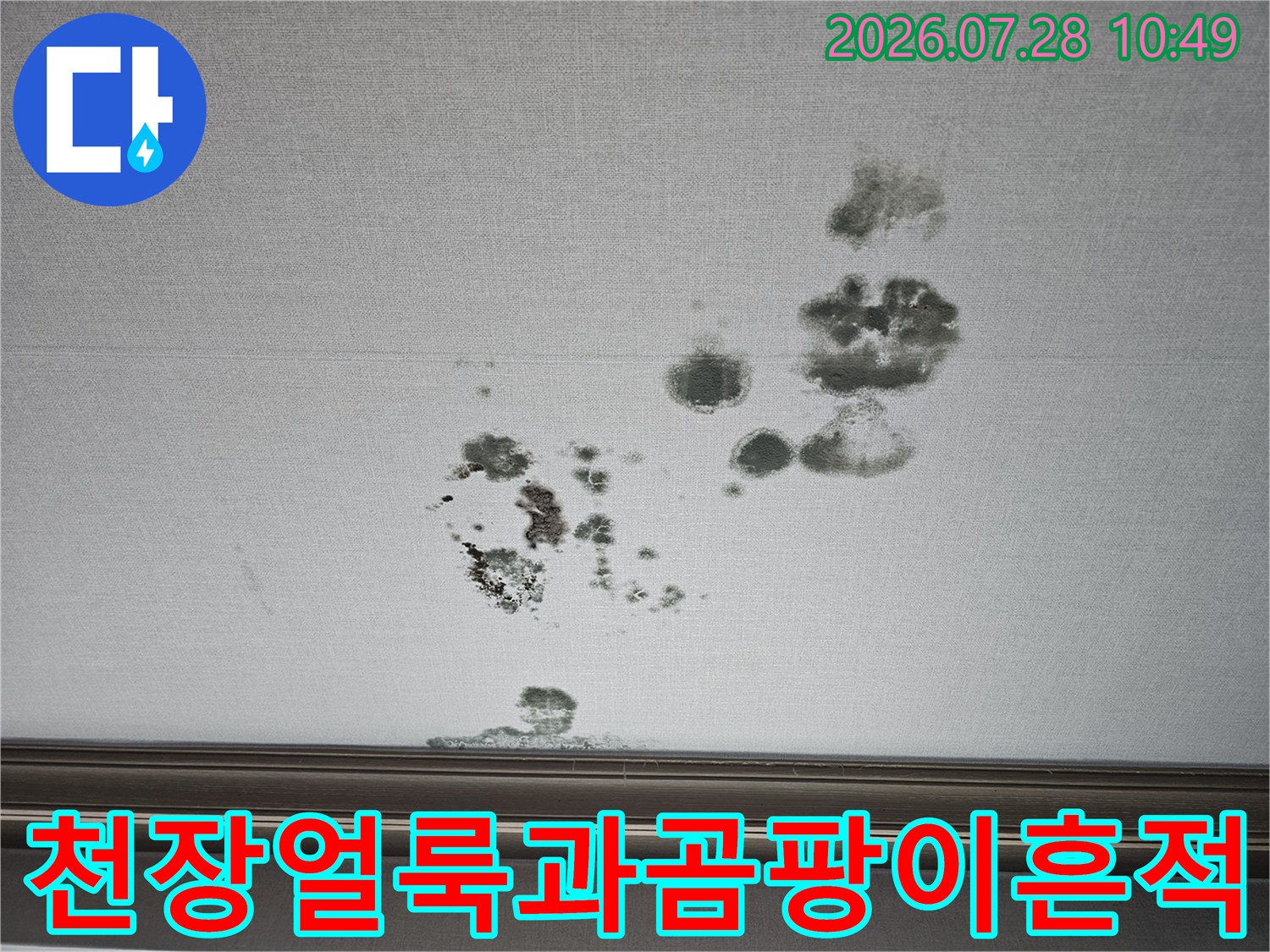 거실 천장에 발생한 짙은 색의 누수 얼룩과 곰팡이 흔적
