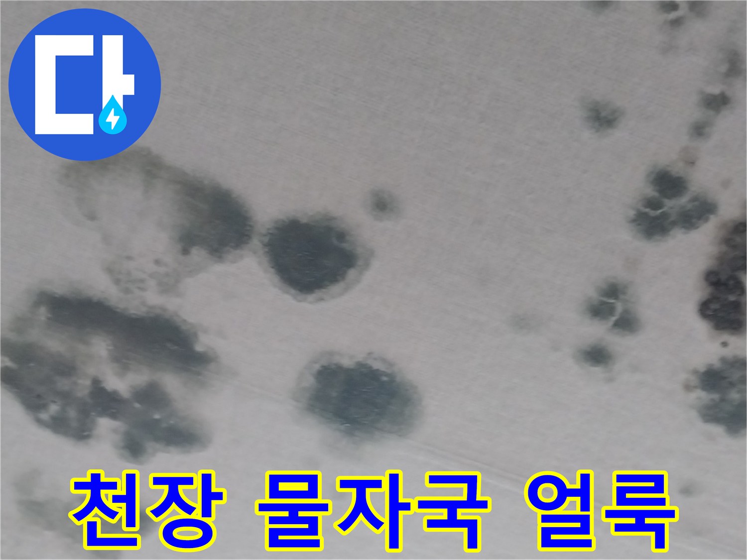 누수 피해로 인해 발생한 거실 천장의 어두운 얼룩 부위