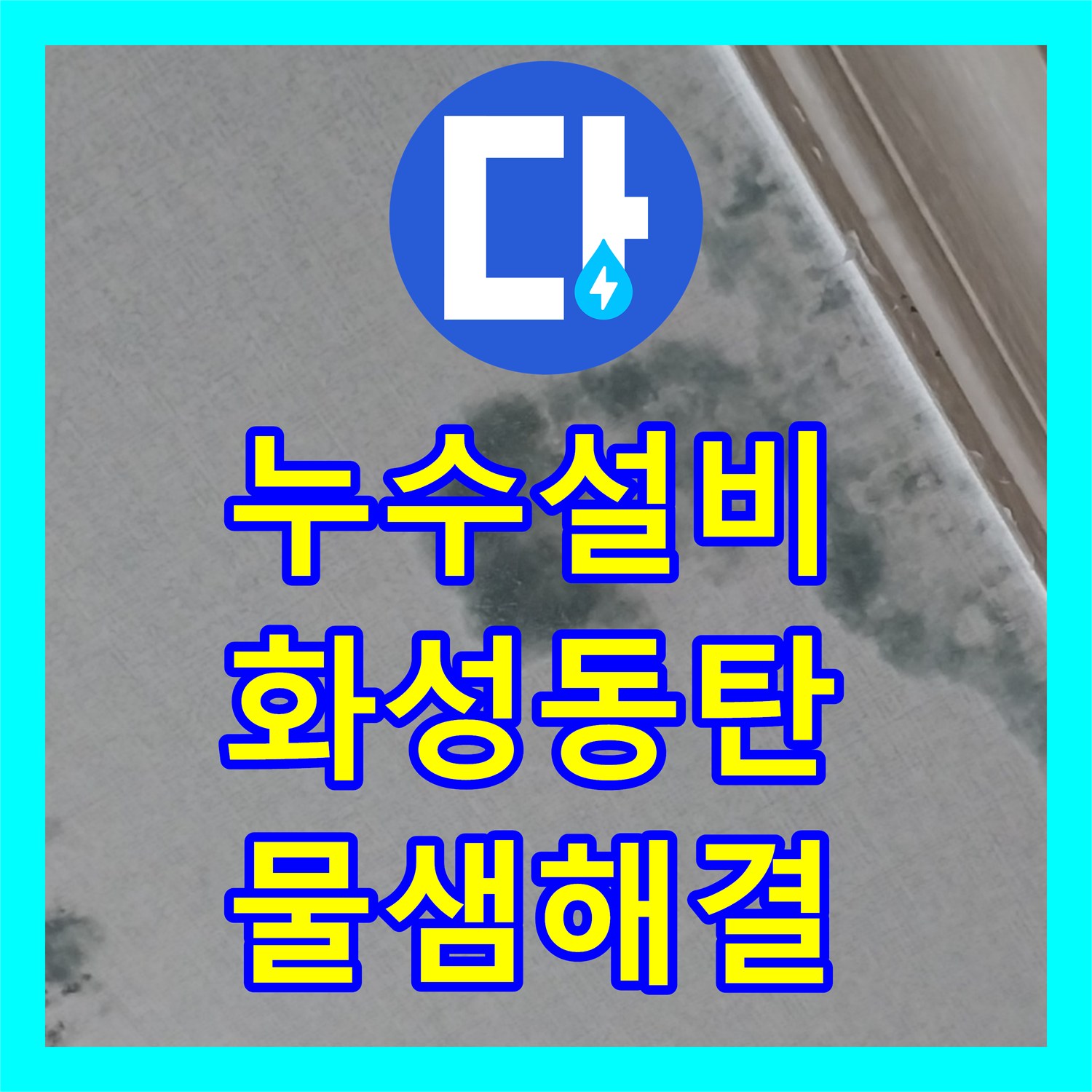 누수설비 상가주택 천장 누수를 유발한 옥상 배수 불량 해결 경기 화성시 동탄