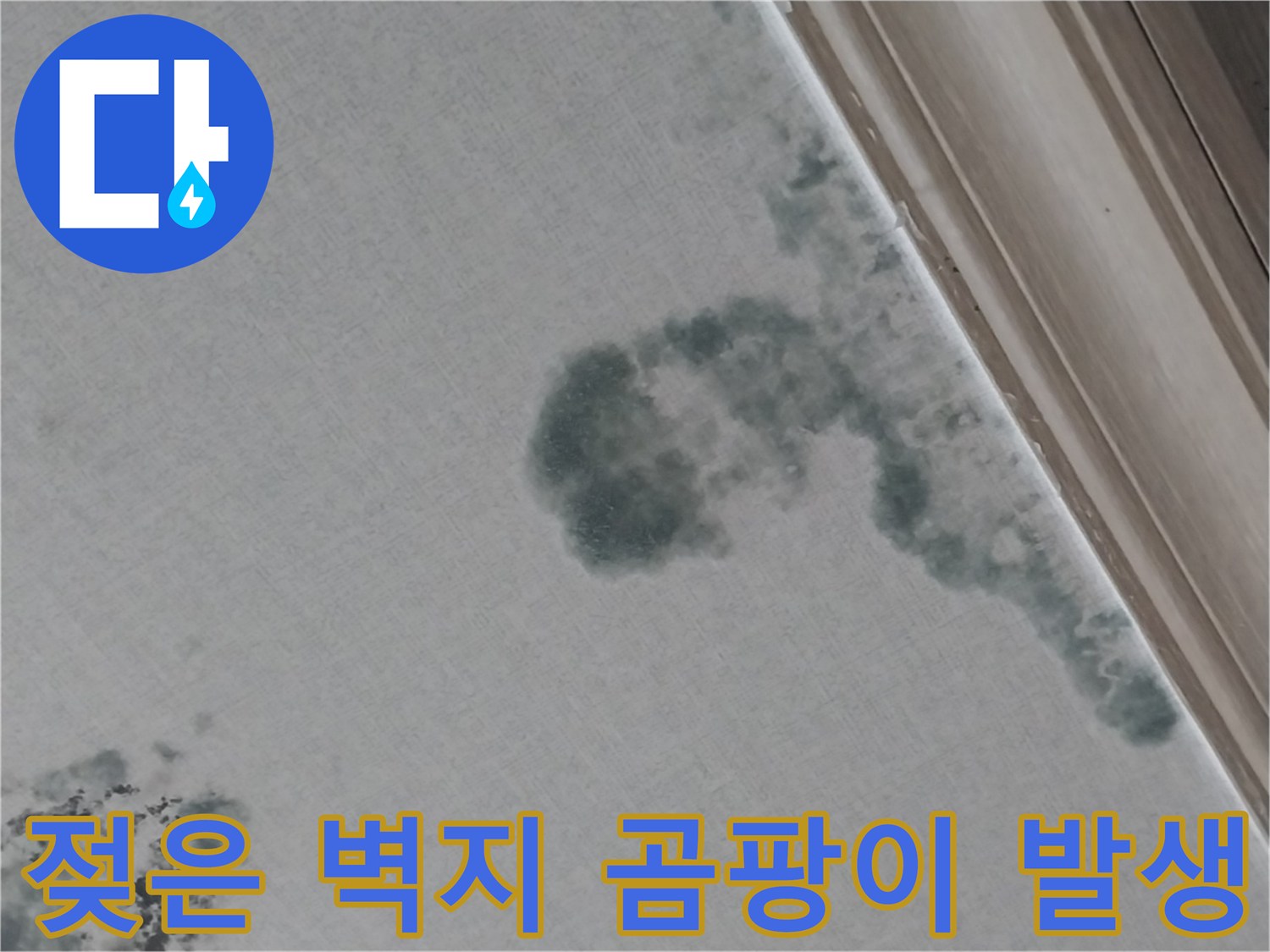 동탄 상가주택 거실 천장에 나타난 넓은 범위의 누수 오염 부위