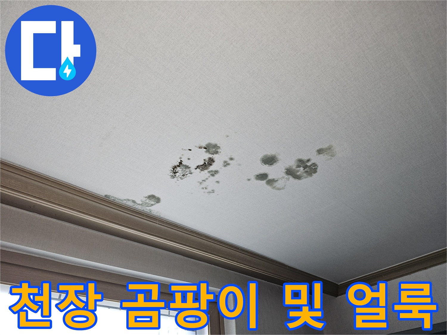 천장 벽지 곳곳에 나타난 검은색 곰팡이와 누수 흔적