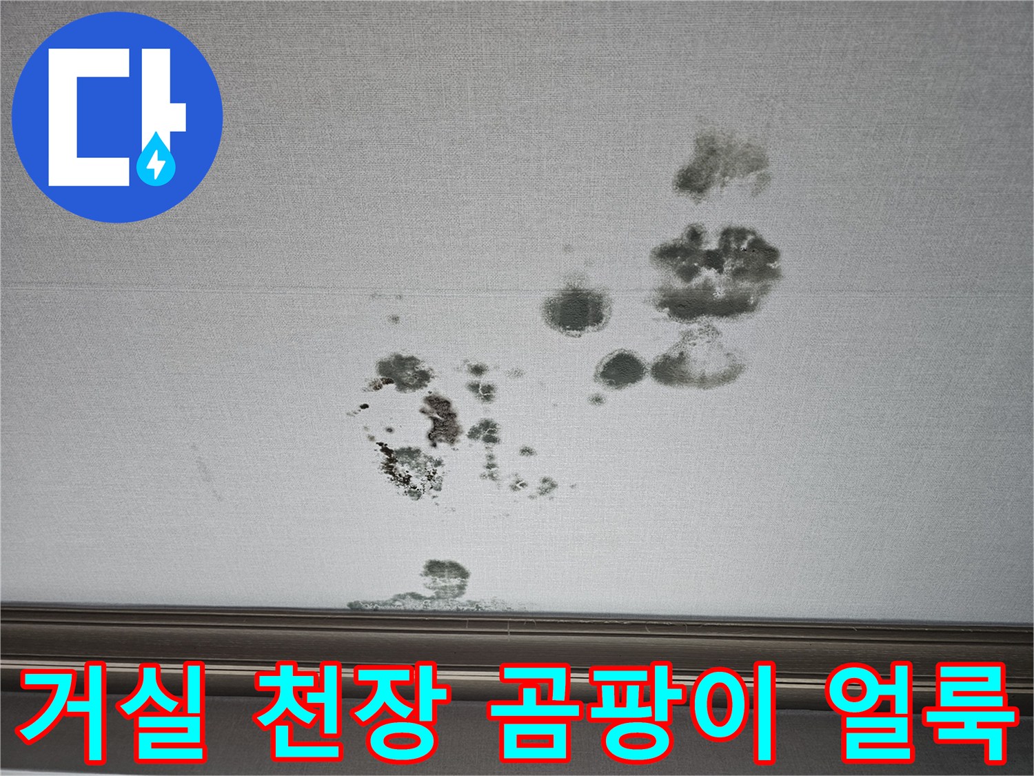 화성 동탄 거실 천장 벽지에 발생한 검은색 곰팡이와 물자국 현상
