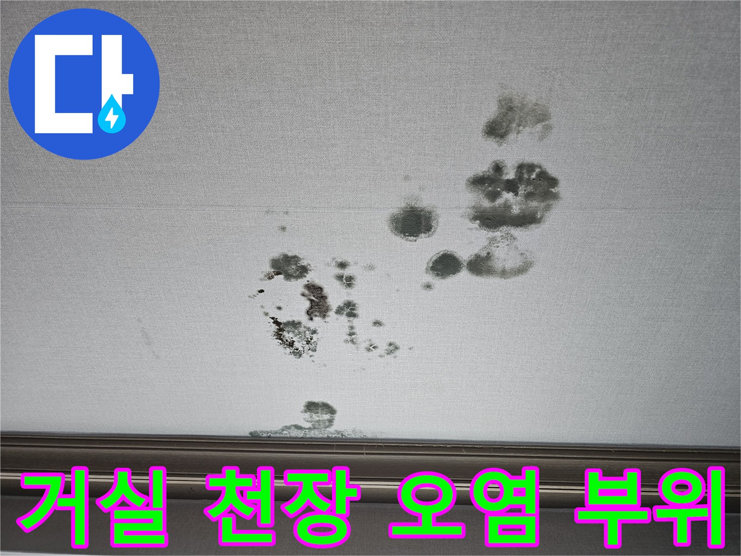 화성 동탄 상가주천-천장 벽지에 발생한 누수 얼룩과 곰팡이
