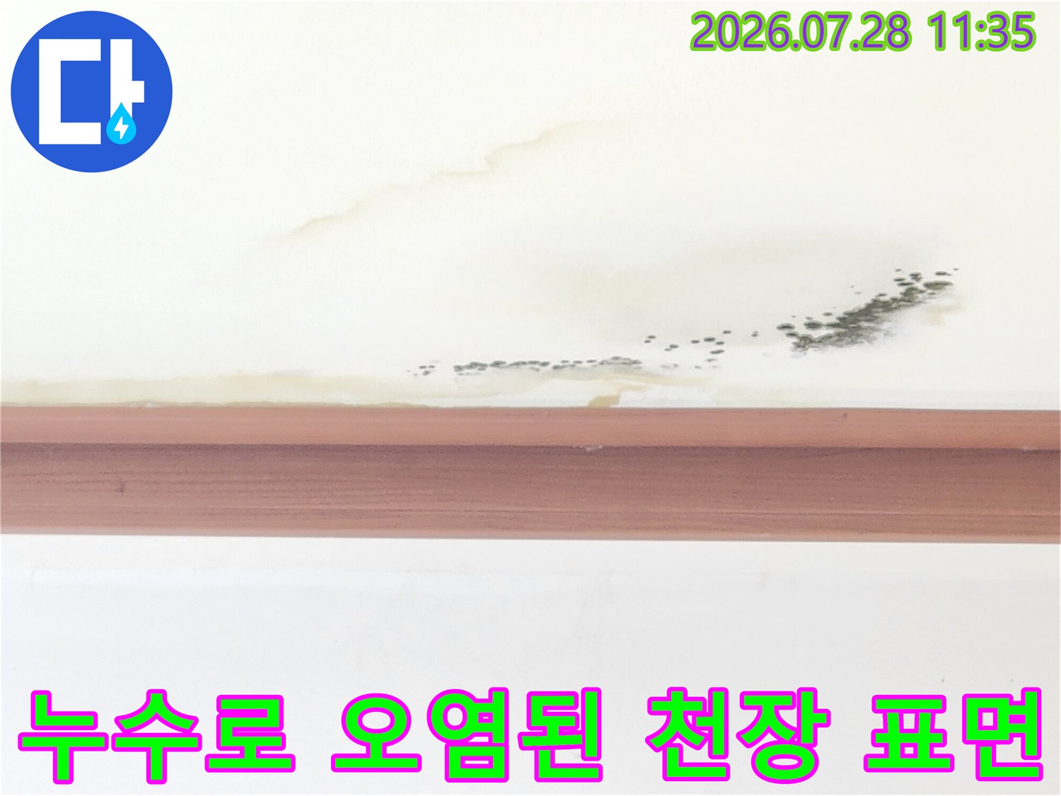거실 벽면 근처 천장에 발생한 물자국과 곰팡이 등의 누수 흔적들