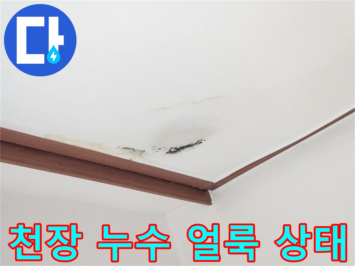 거실 천장 몰딩 라인을 따라 발생한 갈색 물자국과 곰팡이