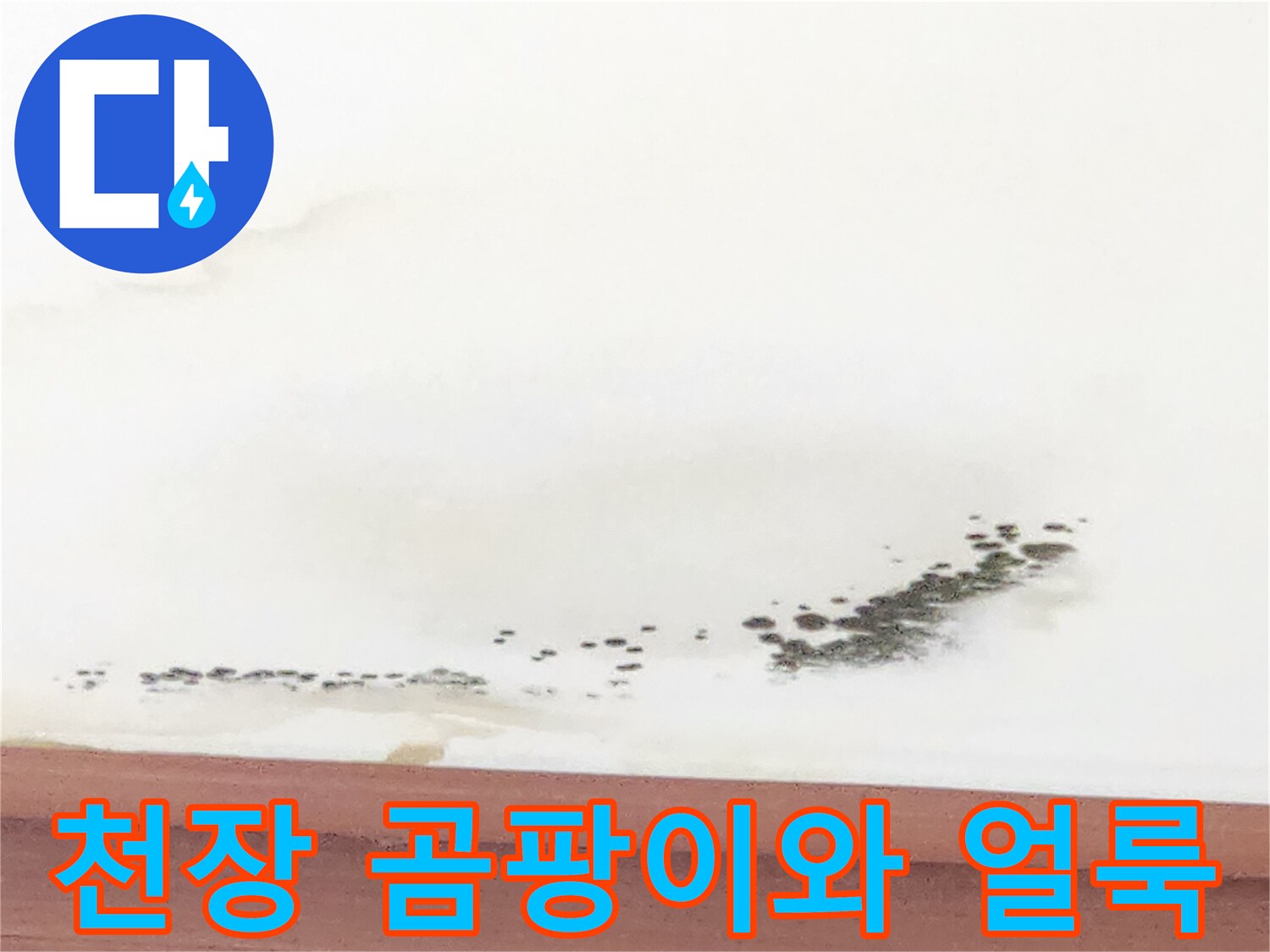 거실-천장-벽지에-발생한-검은-곰팡이-및-물얼룩-상태