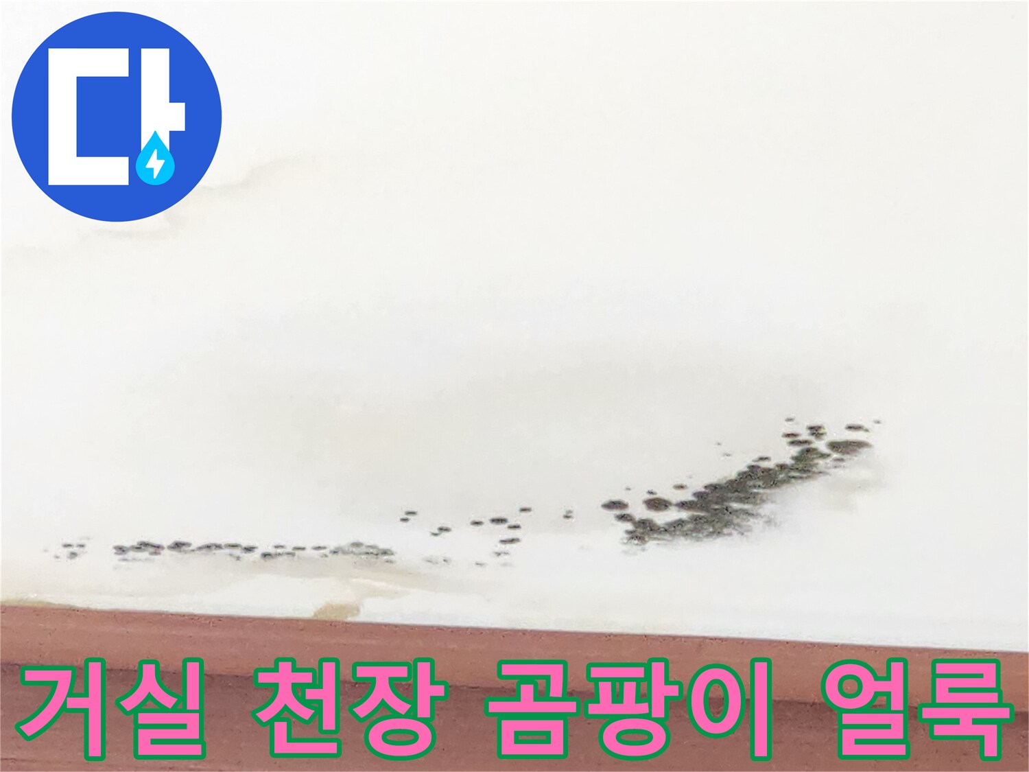 인천 중구 거실 천장 벽지 곰팡이 및 물자국 현황