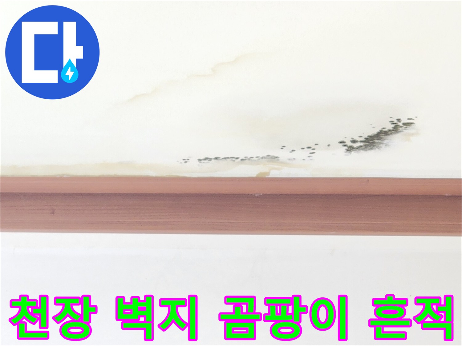 천장 마감재 부근에 번진 누런 얼룩과 검은 곰팡이 증상