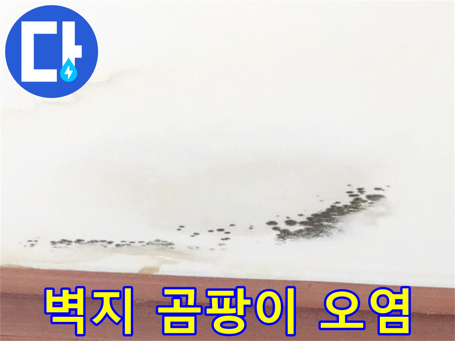 천장 몰딩 근처에 번진 곰팡이와 침수 흔적 사진