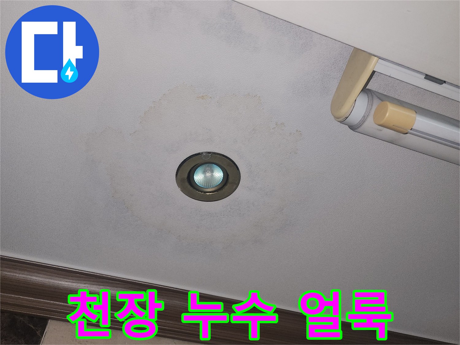 천장 조명 주변에 나타난 젖은 물자국과 변색된 벽지 상태