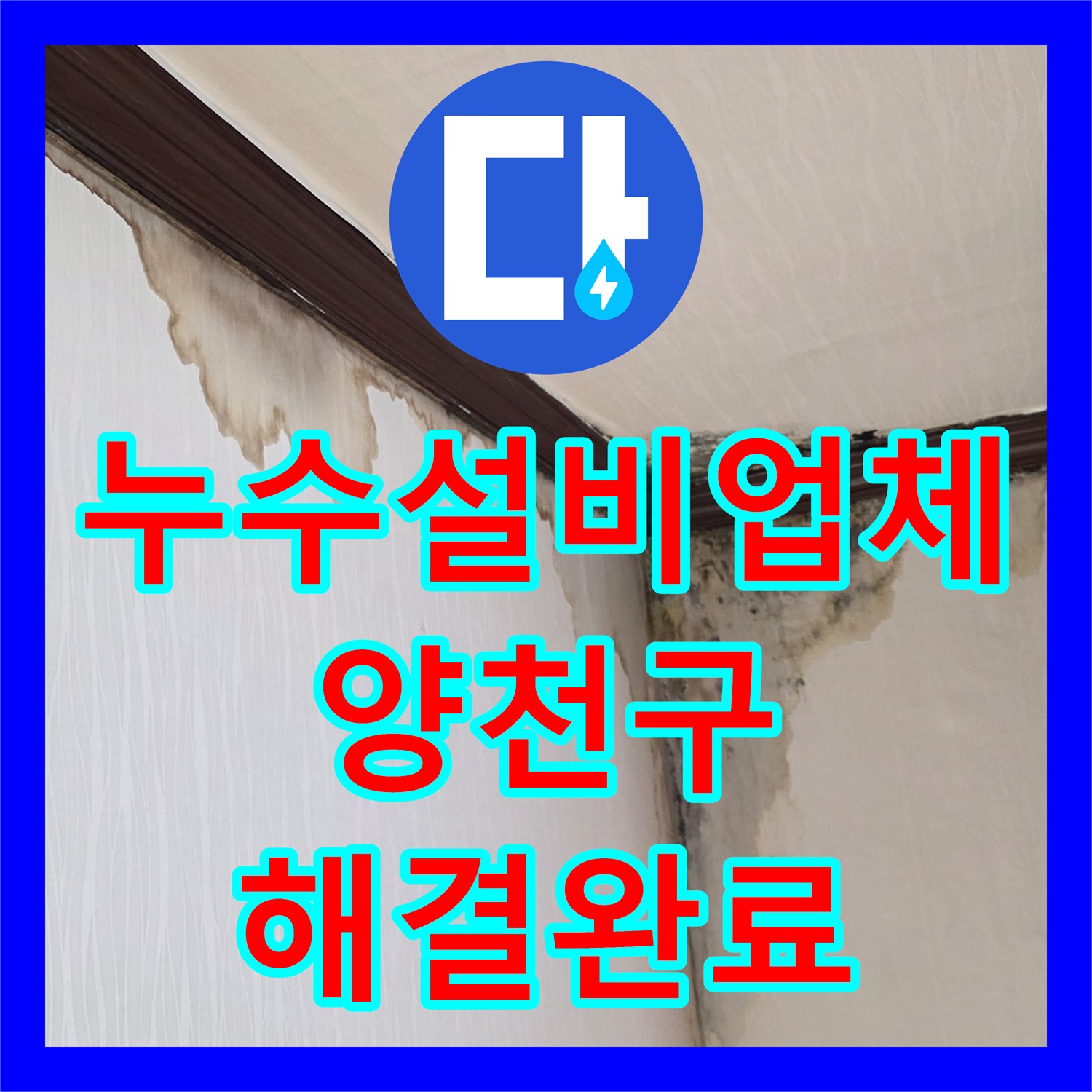 누수설비업체 천장과 벽면의 심각한 물샘 및 곰팡이 피해를 복구한 서울 양천구 신월동 사례