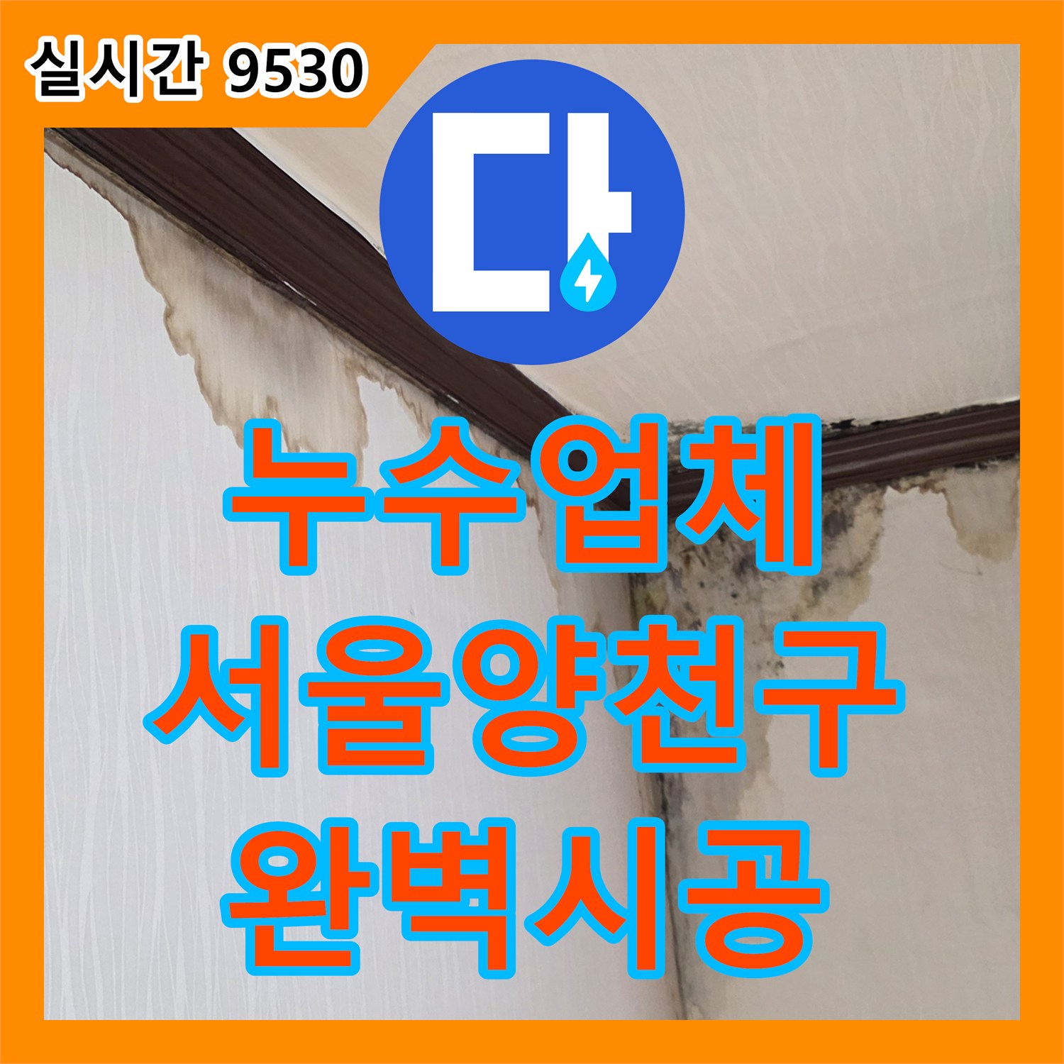 누수업체 천장과 벽면 접합부의 광범위한 누수 흔적 및 곰팡이를 해결한 서울 양천구 신월동