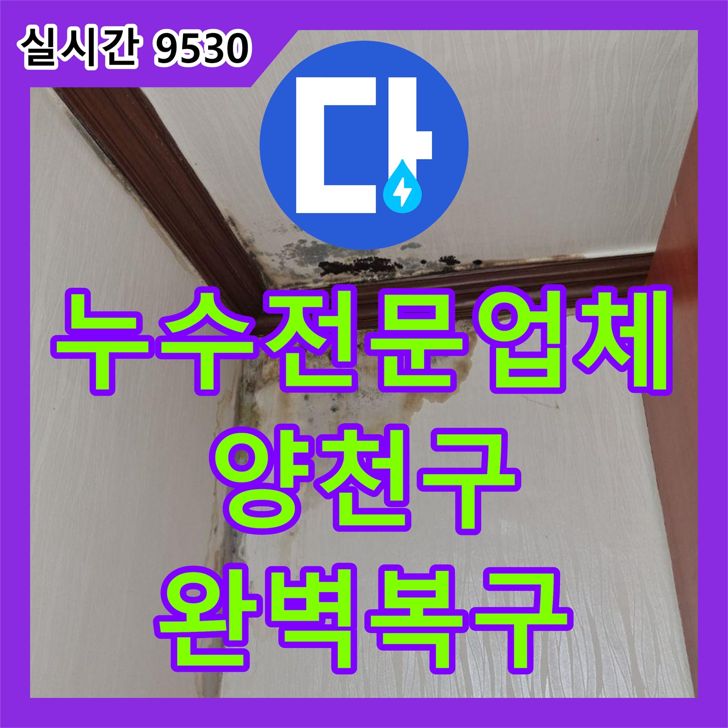 누수전문업체 벽지 변색과 천장 모서리 습기 문제를 정밀하게 진단하고 공사한 서울 양천구 신월동 현장