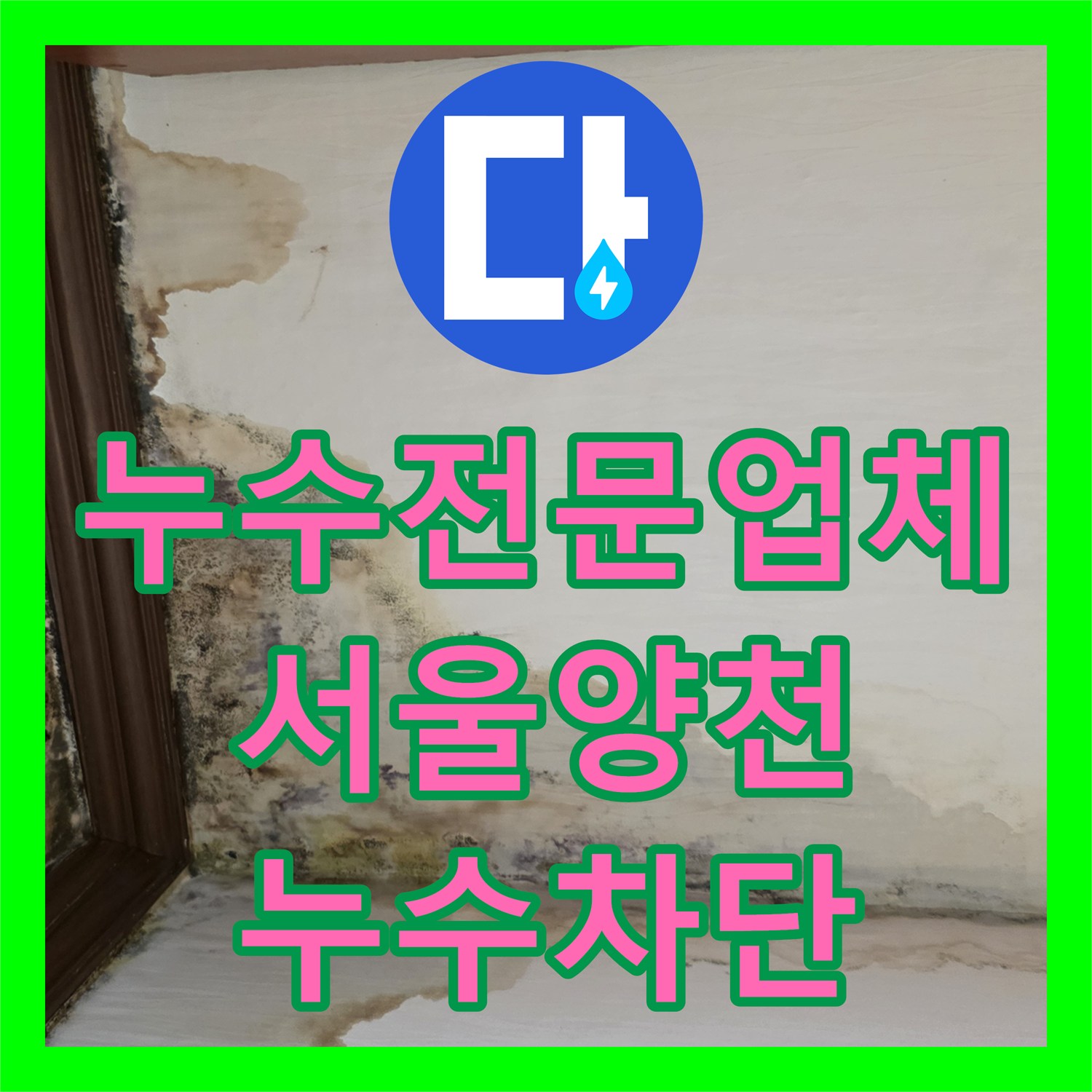누수전문업체 천장 내부 물길 차단 및 곰팡이 제거 복구 작업 서울 양천구 신월동