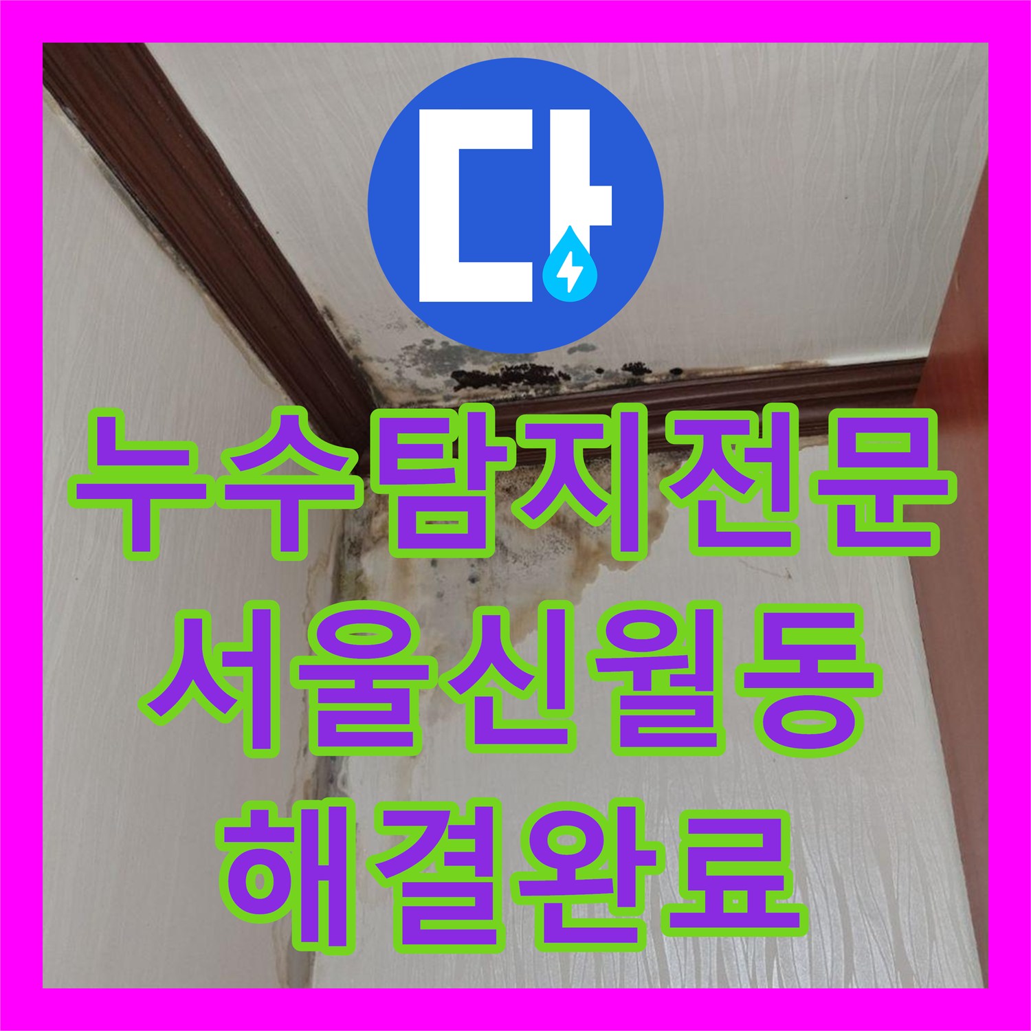 누수탐지전문 천장 몰딩 물샘과 벽면 곰팡이 근본 원인 제거 서울 양천구 신월동