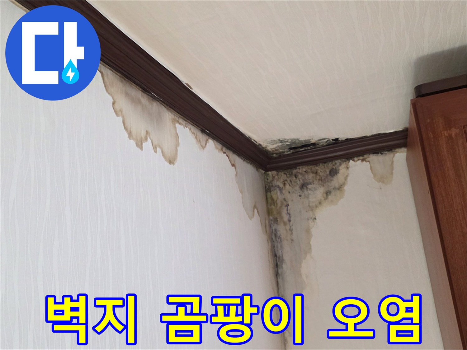 벽면-상단부의-검은-곰팡이와-젖은-벽지