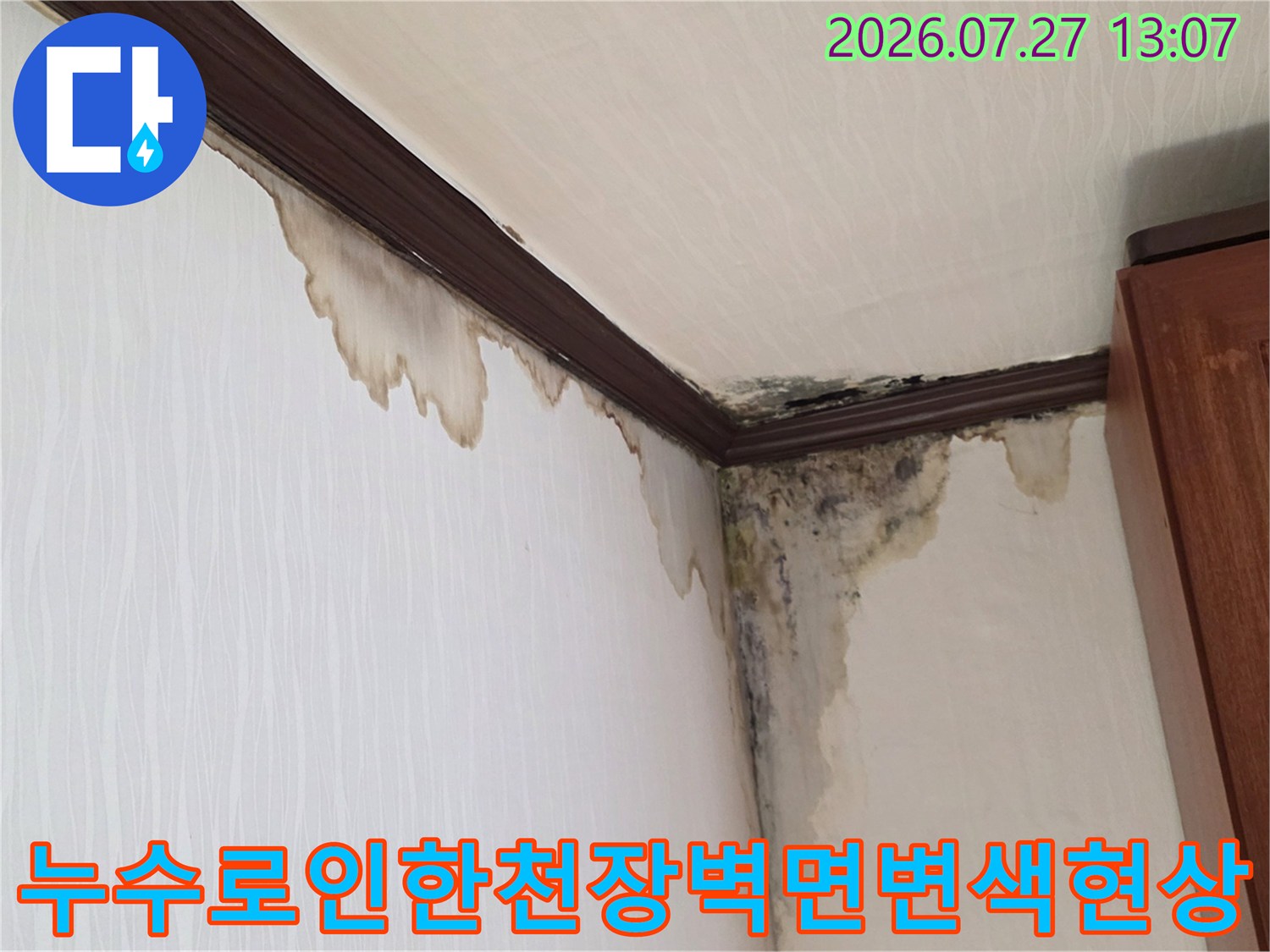 천장-몰딩-틈새로-유입된-물이-벽지를-타고-내려와-오염시킨-모습