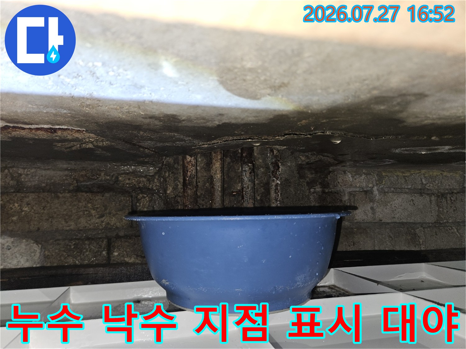 물기가 가득한 천장 슬래브 아래에 파란색 플라스틱 용기가 놓여있는 사진