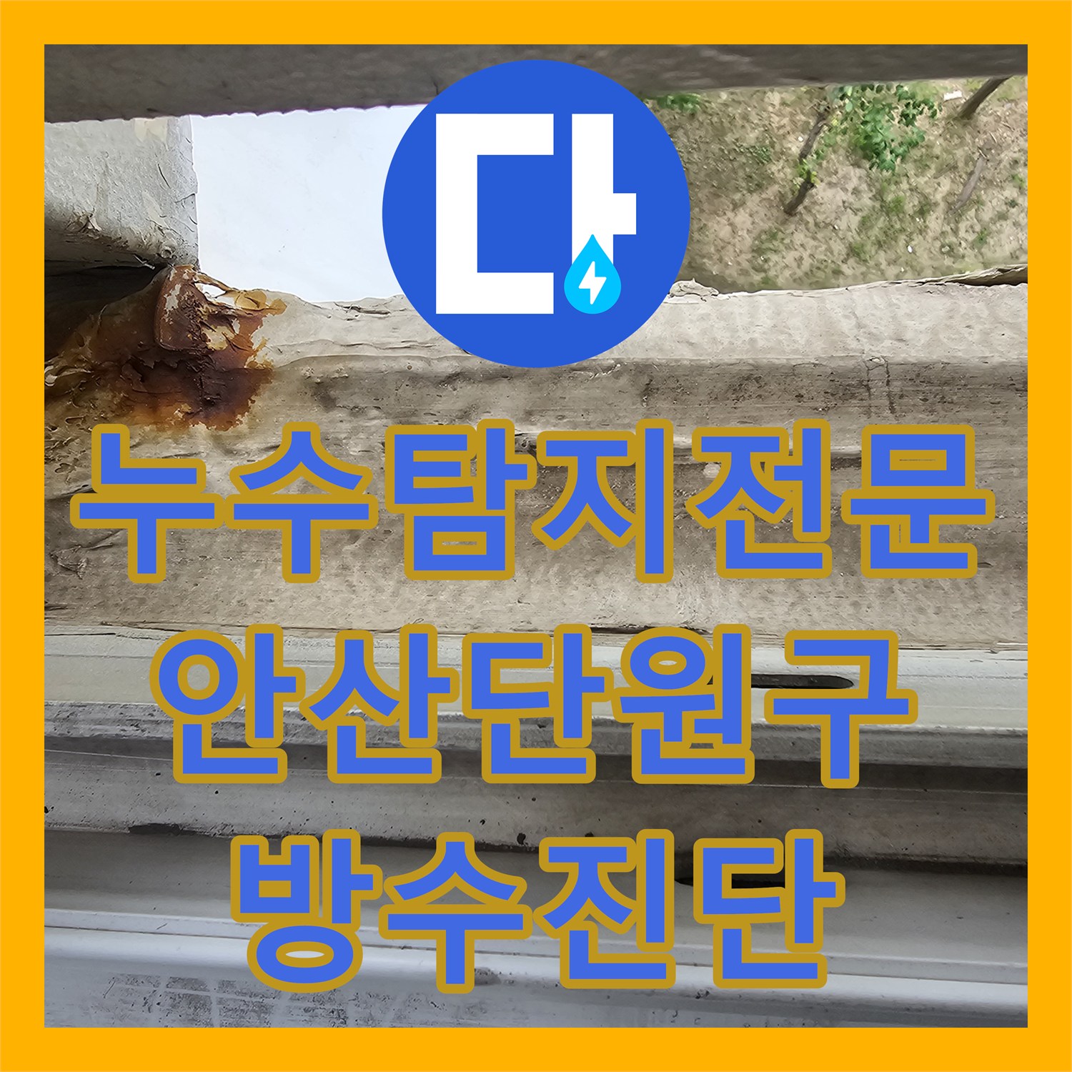 누수탐지전문 우수관 주변 방수층 파손 진단 및 소견서 발행 경기 안산시 단원구