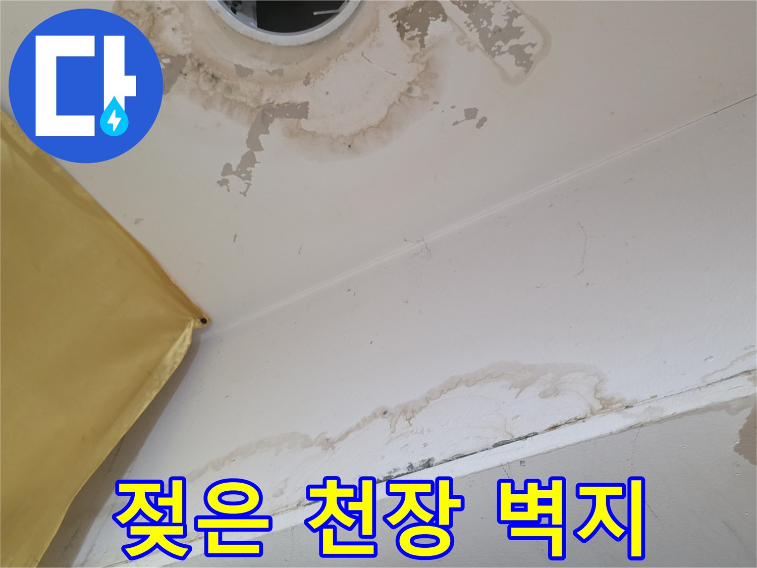 상가주택 내부-누수로 인해 변색되고 젖어있는 천장 마감재