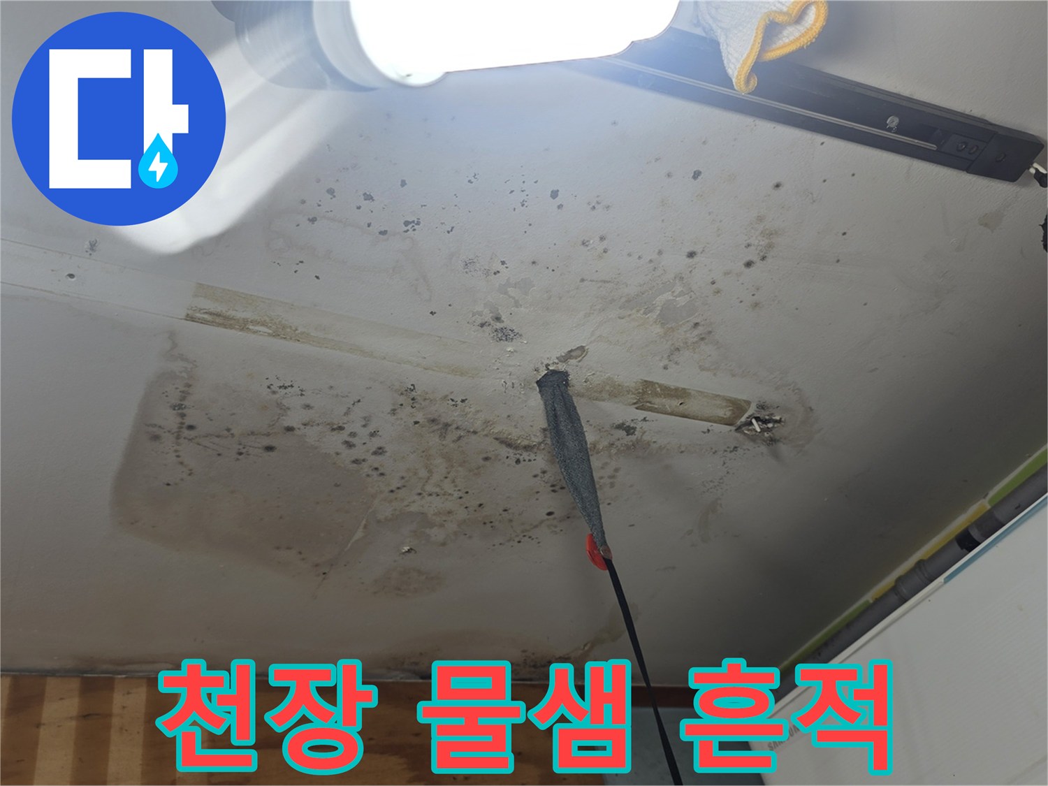 송파구 상가주동 천장의 곰팡이와 물샘 흔적을 보여주는 사진