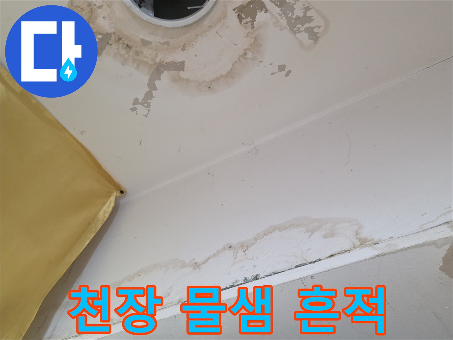 송파구 상가주택-1층 천장 누수 얼룩과 곰팡이 상태