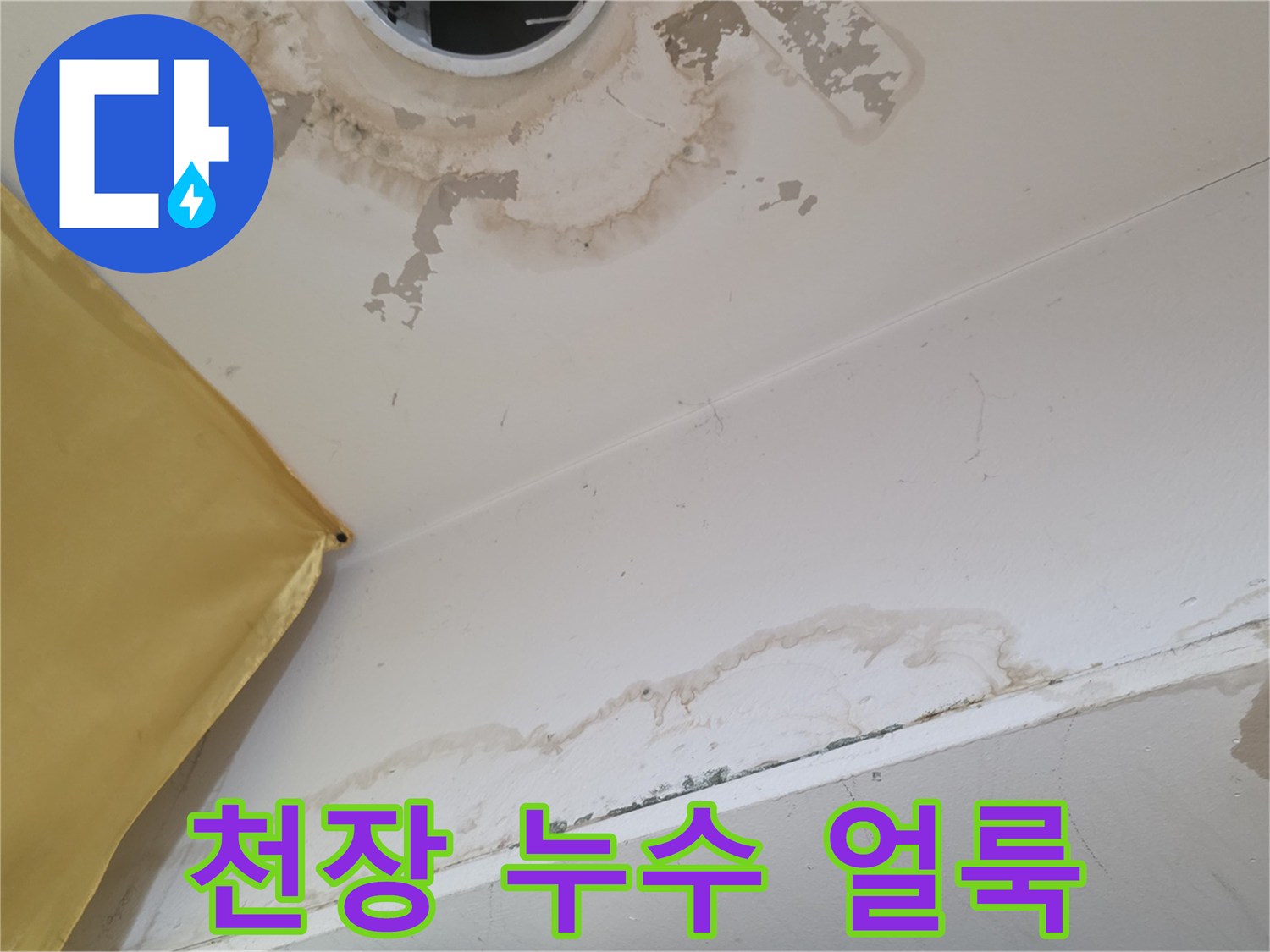송파구 상가주택-천장 조명 주변의 젖은 벽지와 곰팡이
