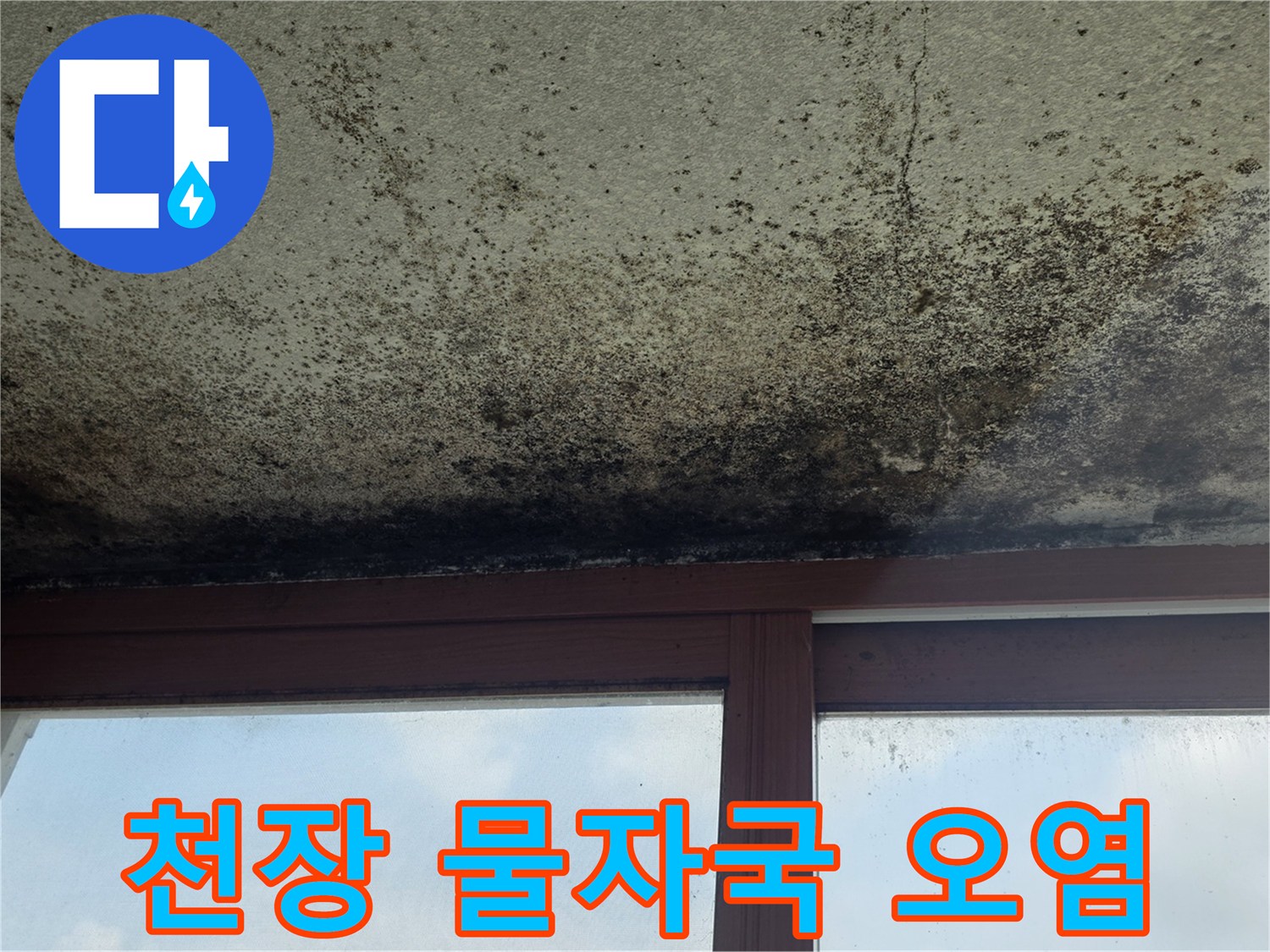 천장 벽면에-넓게 퍼진 곰팡이와 얼룩