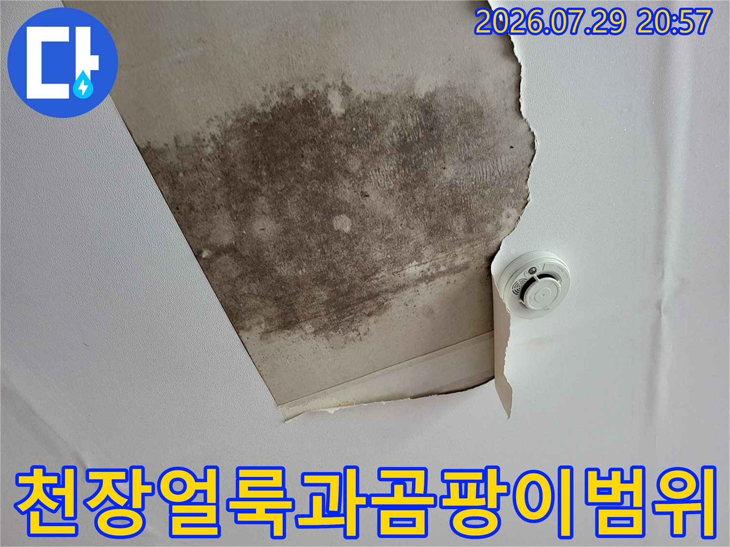 마감재가 뜯겨나간 부위에 선명하게 나타난 배관 주변의 수분 오염 및 변색