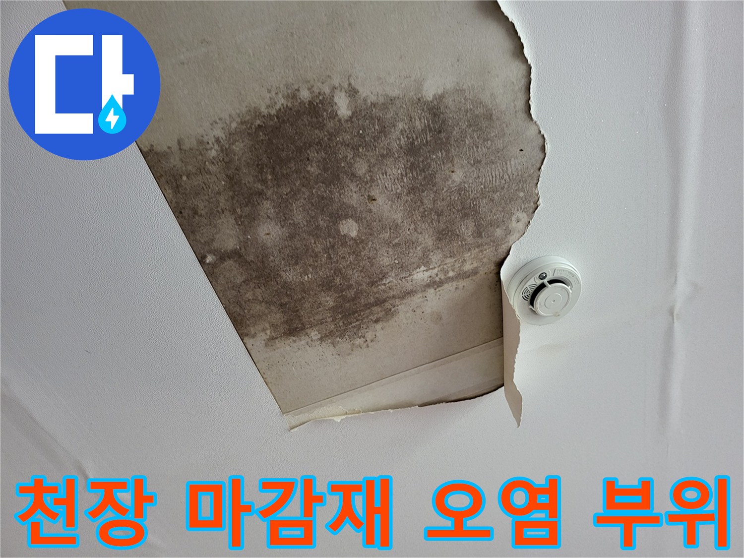 습기로 인해 변색되고 곰팡이가 발생한 천장 마감재