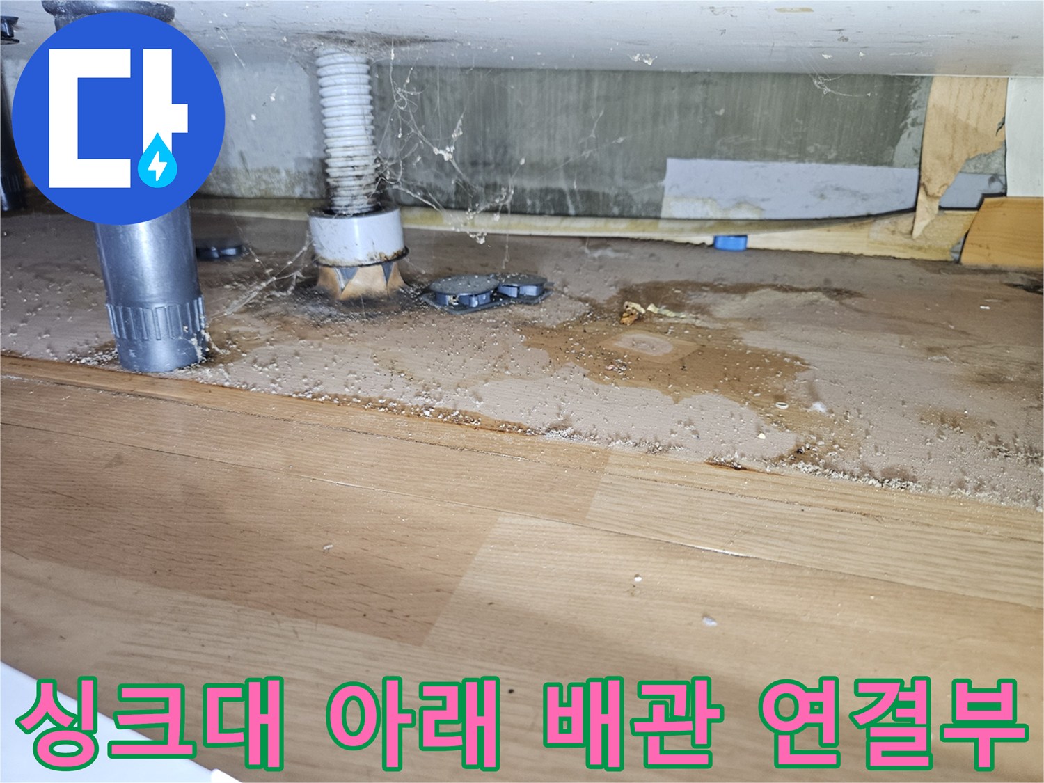 싱크대 배관 주변의 젖은 나무 판재와 오염된 부위