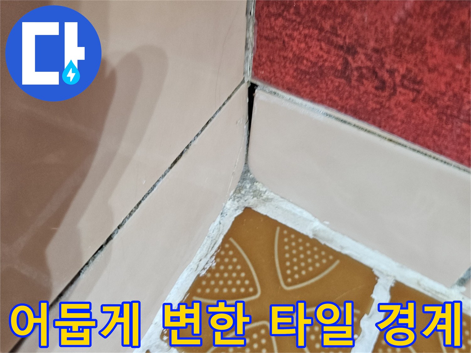 물기에 젖은 듯한 타일 줄눈 - 누수 발생 의심 부위