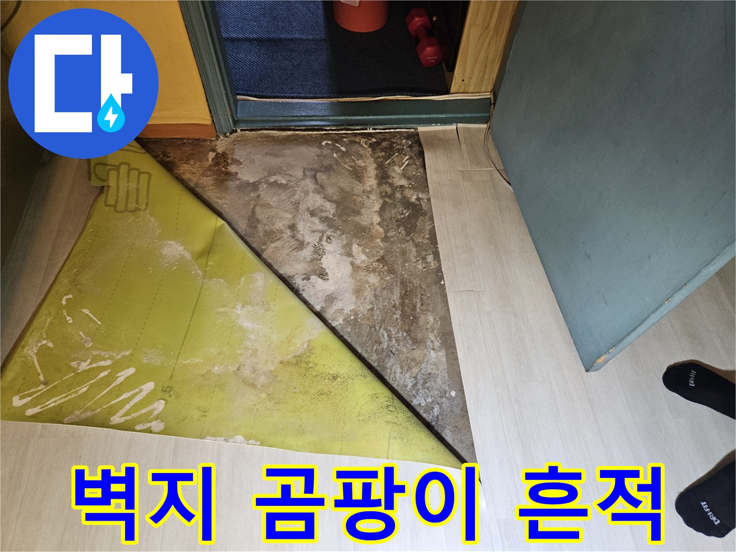 벽지가 들뜨고 곰팡이가 발생한 현장 모습입니다.