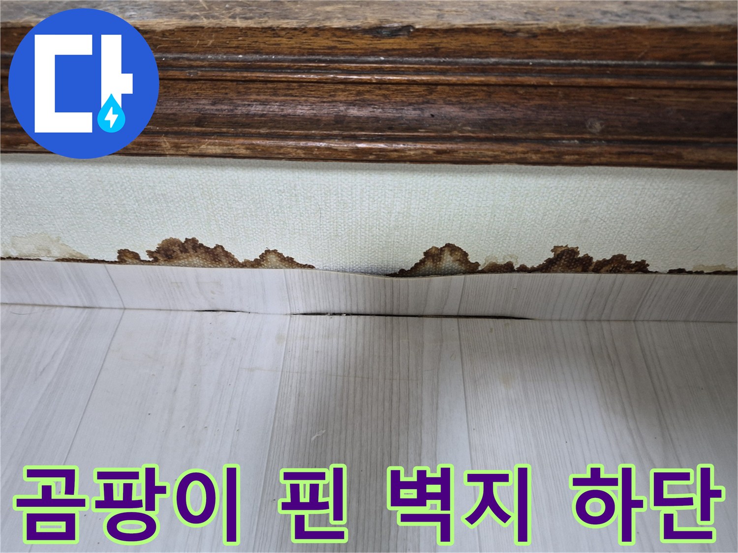 포천 현장-누수로 인해 변색되고 오염된 벽지 끝부분