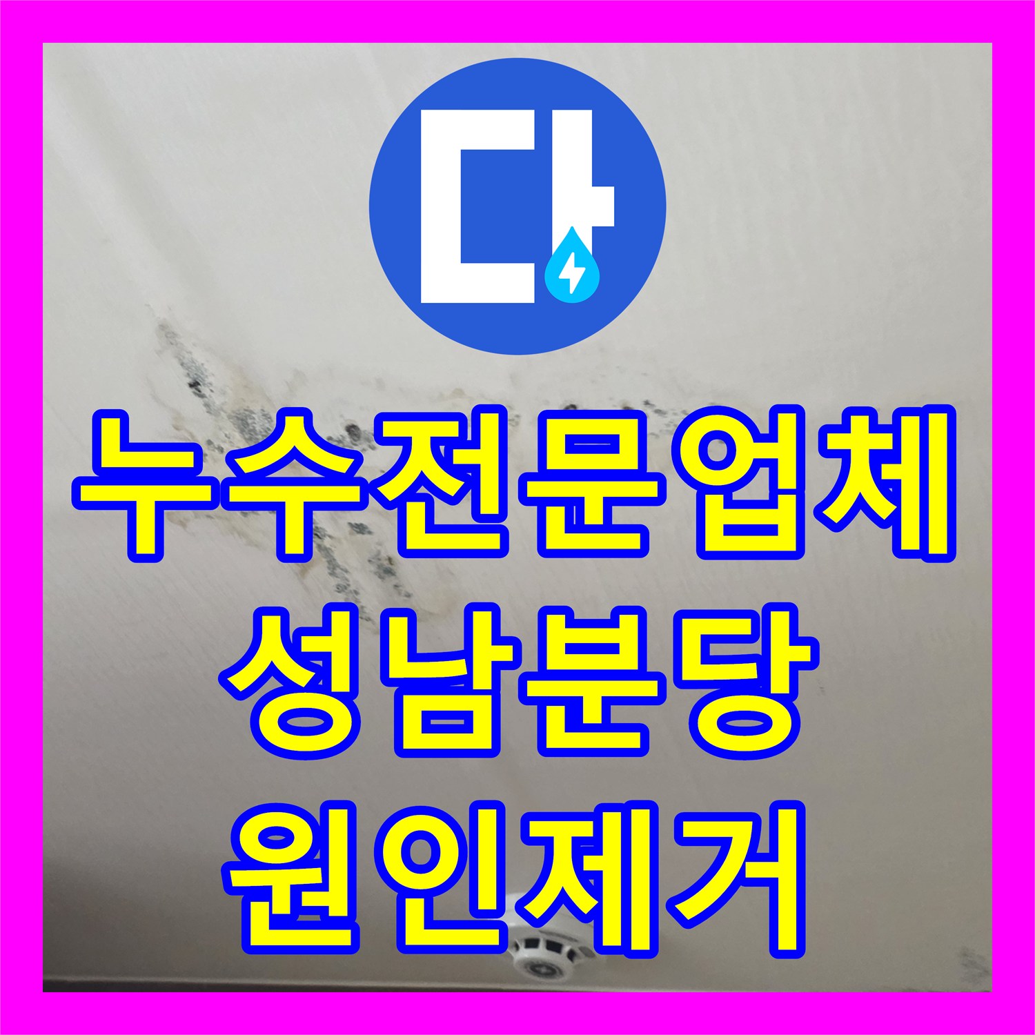누수전문업체 원룸 하층 천장 곰팡이 원인이 된 상층 배관 누수 해결 경기 성남시 분당구 구미동