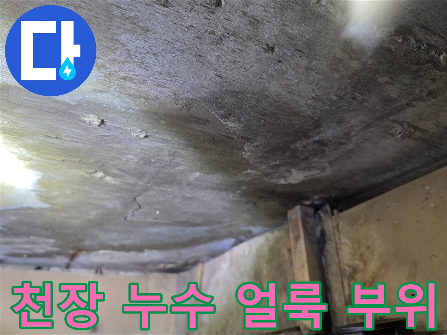 천장 마감재에 나타난 불규칙한 물샘 흔적과 변색
