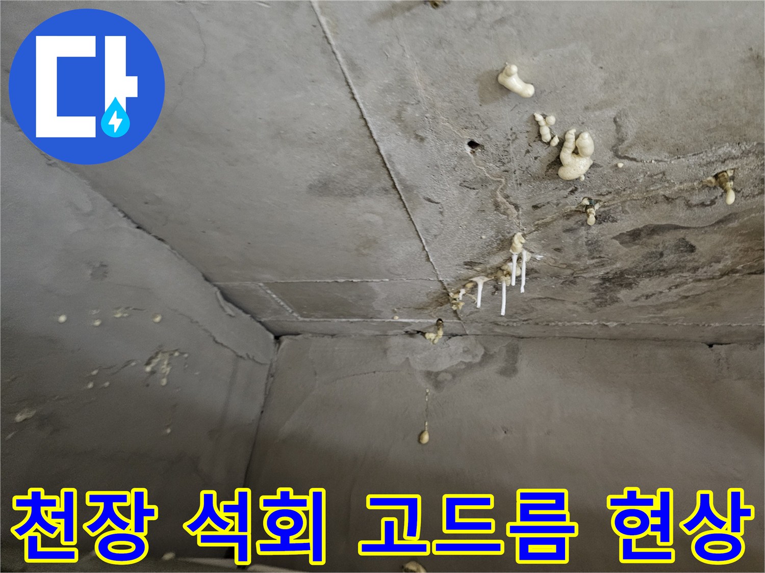 화장실 천장 슬래브에 형성된 하얀색 석회 고드름 상태