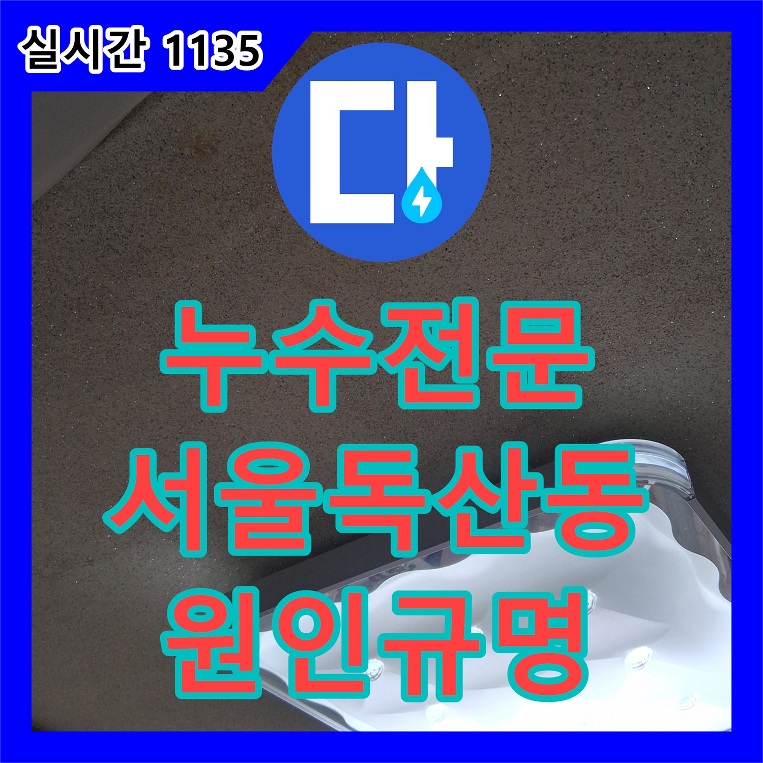 누수전문 타 업체 실패 후 재요청된 화장실 입구 천장 누수 원인 규명 및 복구 서울 금천구 독산동