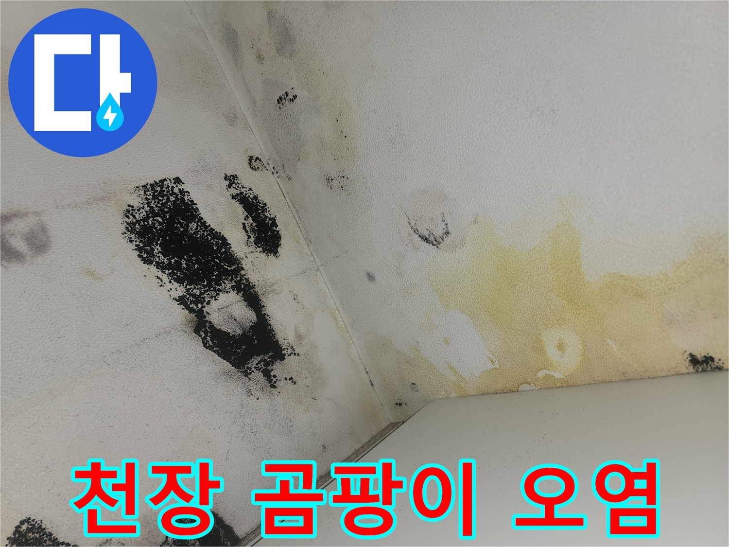 물샘-현상으로-인해-발생한-화장실-벽면의-곰팡이-오염