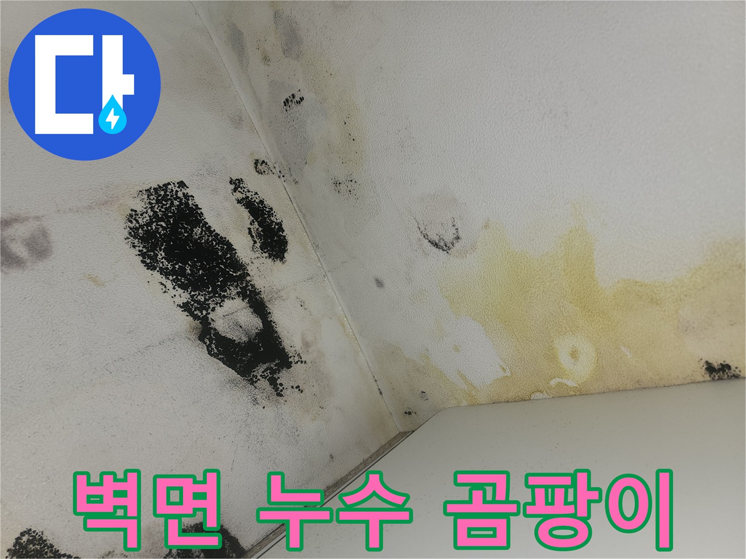 화장실 벽체 모서리-물샘으로 인한 곰팡이 및 얼룩 발생