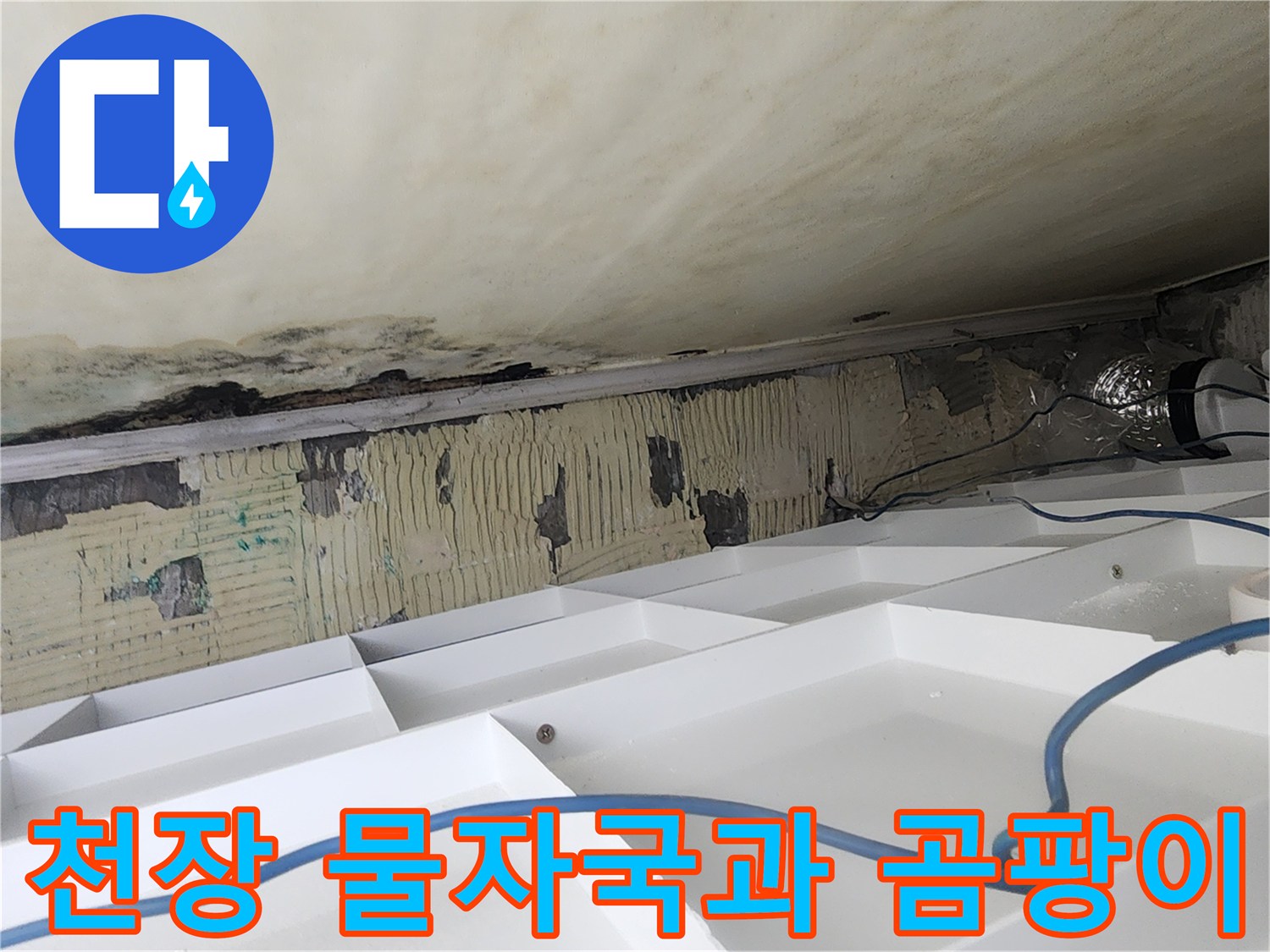 안양 아파트 화장실-천장 슬라브의 곰팡이와 습기 흔적