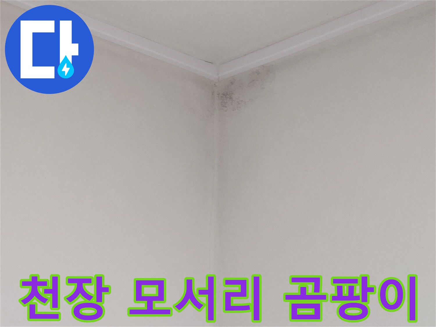 천장 구석진 곳에 발생한 검은색 곰팡이와 습기 흔적