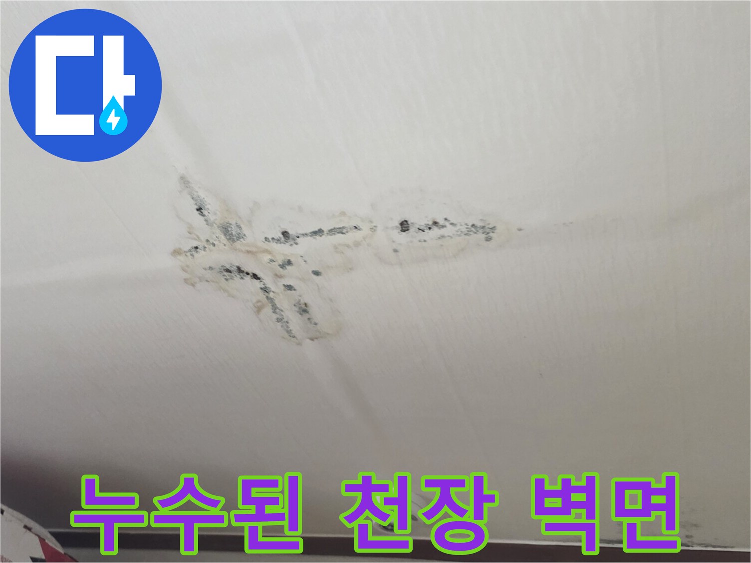 구미동 아파트 내부-천장에 나타난 습기 및 곰팡이 증상