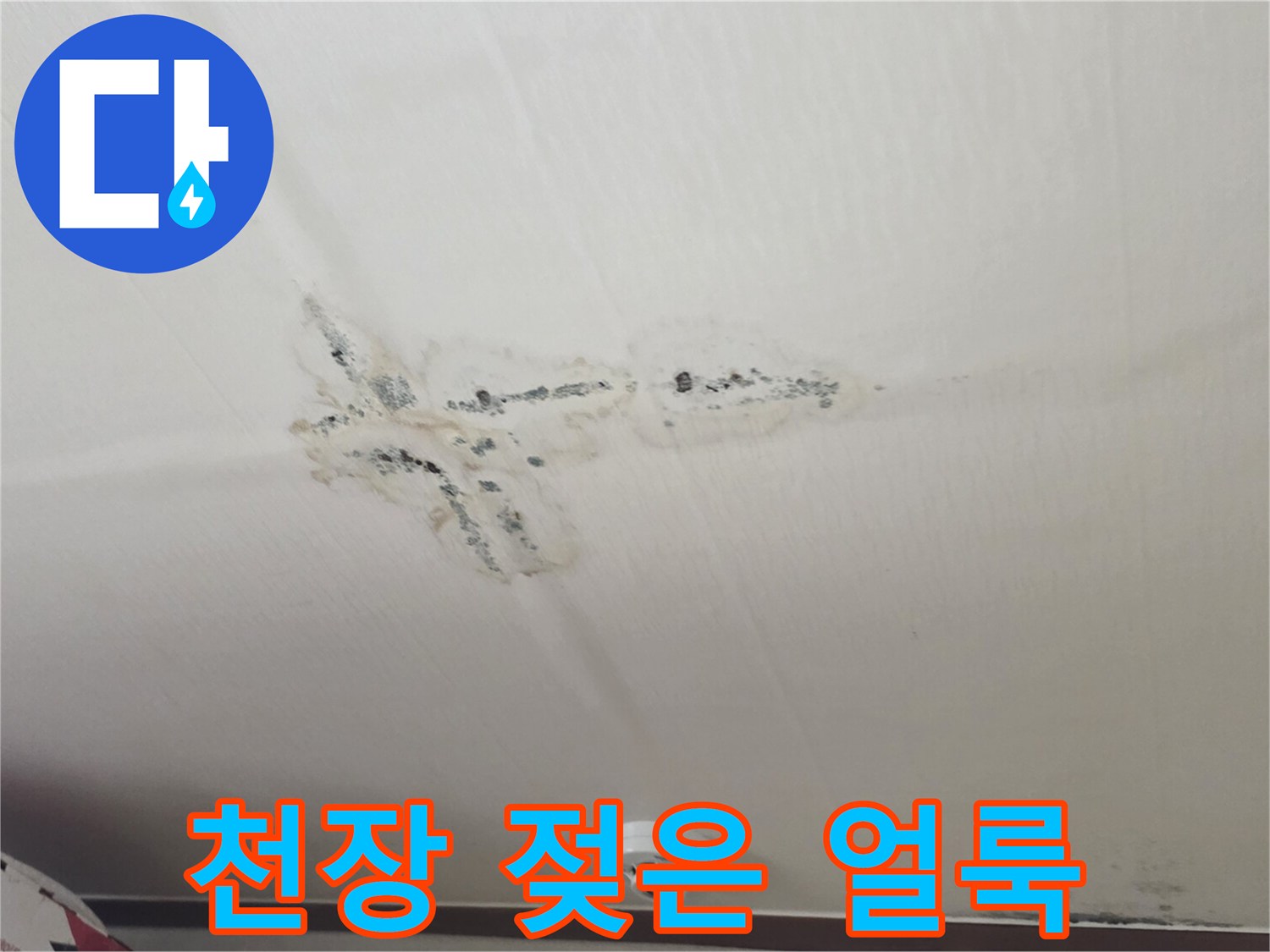 천장에 나타난 어두운색의 누수 및 곰팡이 흔적