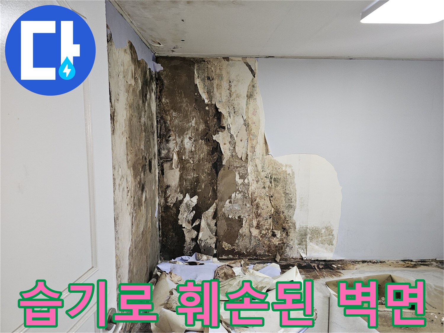 물샘 현상으로 인해 곰팡이가 발생하고 벽체가 부식된 화장실 내부 상황