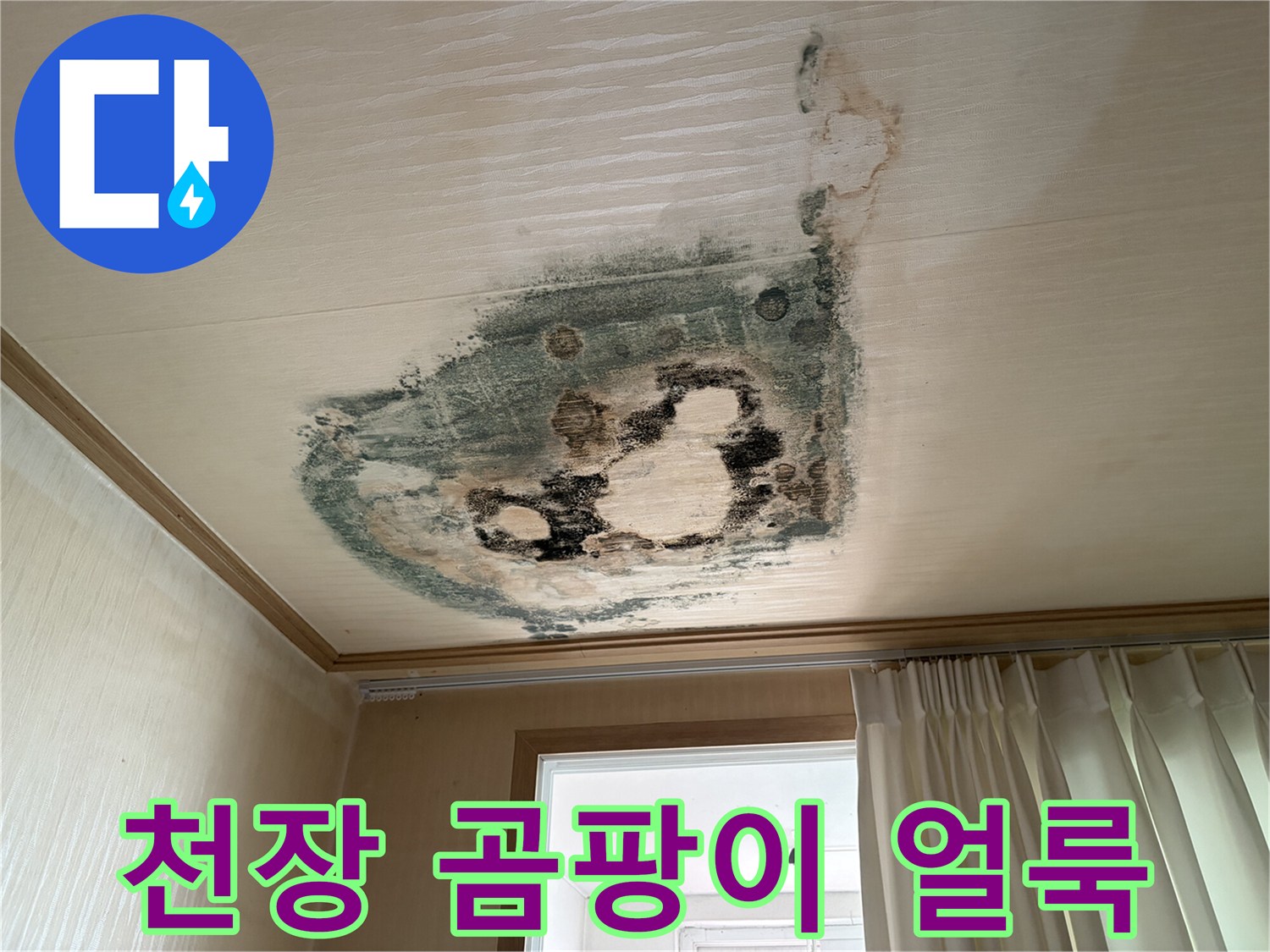 부천 도당동 현장의 천장 물샘 흔적과 검은 곰팡이 상태