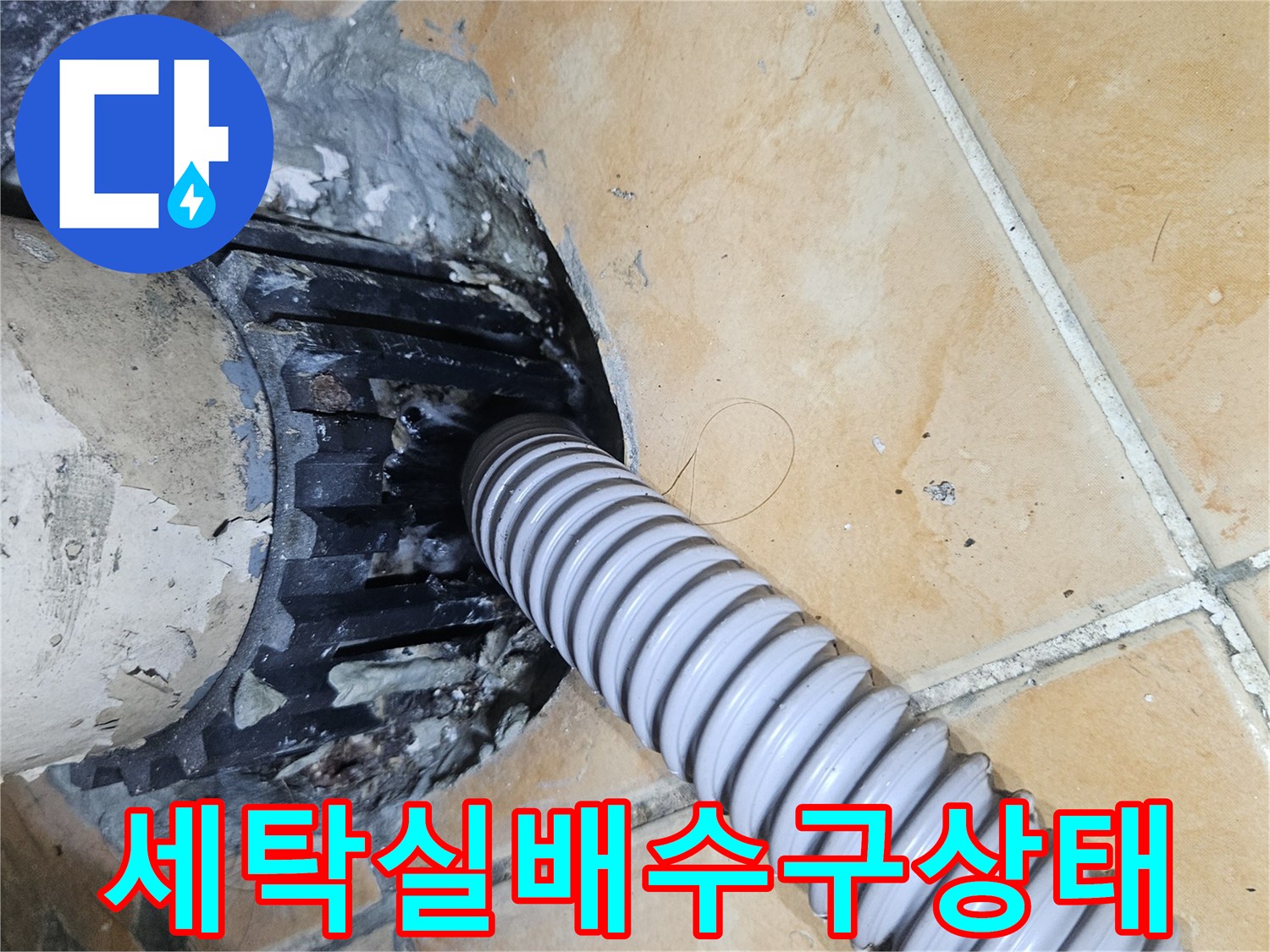 성북구-돈암동-아파트-세탁실-배수관-주변-방수층-손상-확인