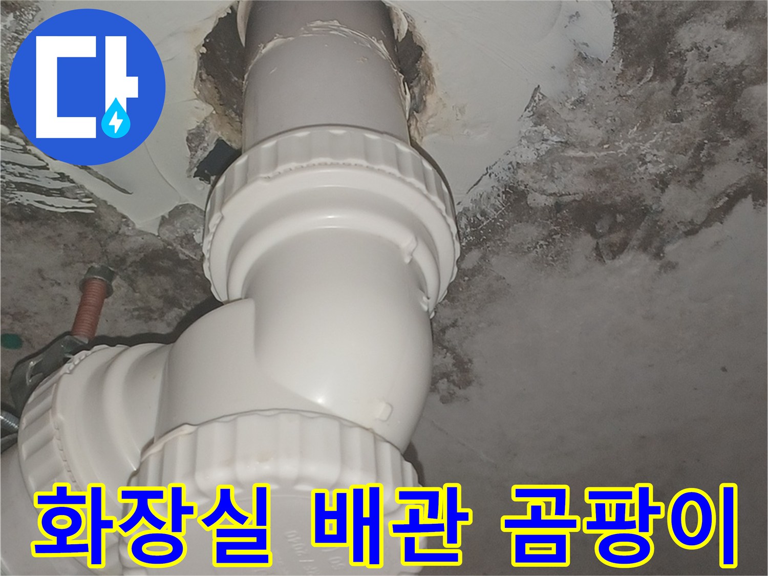 화장실-천장-배관-주변의-심한-곰팡이와-오염-상태