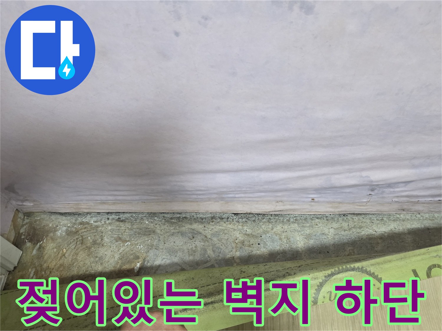 광진구 구의동 현장의 젖고 변색된 벽지 모습입니다.