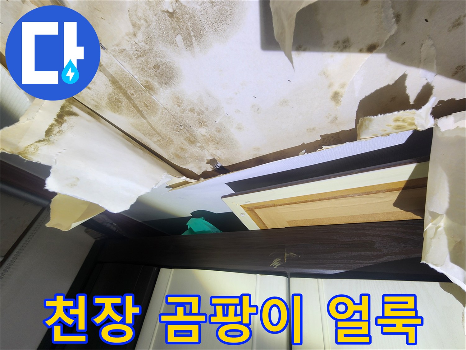 습기로 인해 발생한 천장 곰팡이 - 면목동 현장 기록